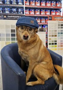 whatsapp image 2026 03 12 at 09.55.49